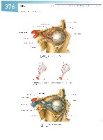 Sobotta Atlas of Human Anatomy  Head,Neck,Upper Limb Volume1 2006, page 383
